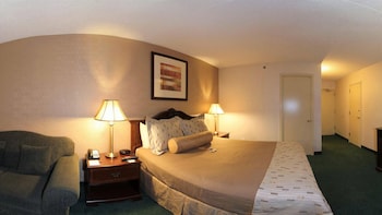Standard Room, 1 King Bed, Accessible, Non Smoking (Accessible)