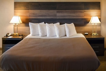 Standard Room, 1 Queen Bed, Accessible, Non Smoking (Accessible)