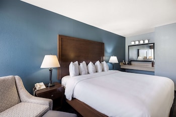 Standard Room, 1 King Bed, Non Smoking, Refrigerator & Microwave