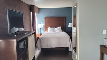 Suite, 1 Queen Bed, Non Smoking (Pet Friendly;with Sofabed)
