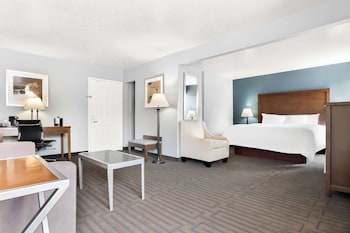 Suite, 1 King Bed, Non Smoking, Refrigerator & Microwave (with Sofabed)