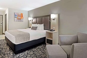 Standard Room, 1 King Bed, Non Smoking, Refrigerator & Microwave