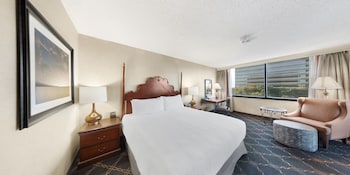 Room, 1 King Bed