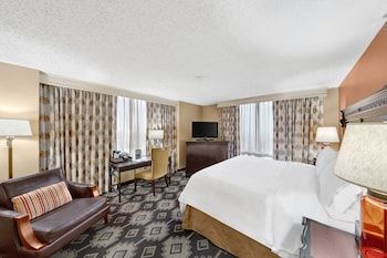 Room, 1 King Bed