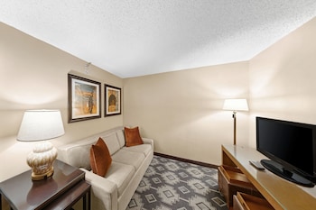 Executive Room, 1 King Bed with Sofa bed