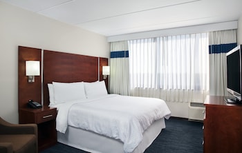 Suite, 1 King Bed with Sofa bed