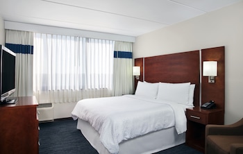 Suite, 1 King Bed with Sofa bed
