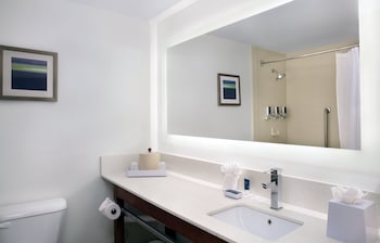 Suite, 1 King Bed with Sofa bed