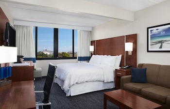 Room, 1 King Bed with Sofa bed