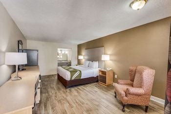 Suite, 1 King Bed with Sofa bed, Non Smoking