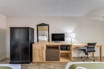 Room, 1 King Bed, Accessible, Non Smoking