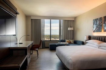 Room, 1 King Bed