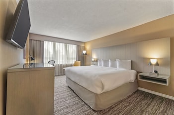 Deluxe Room, 1 King Bed