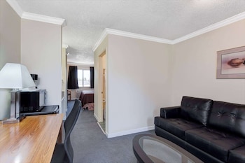 Suite, 1 King Bed