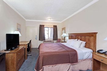 Suite, 1 King Bed