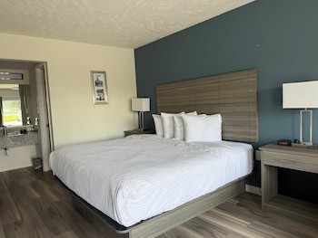 Room, 1 King Bed, Non Smoking