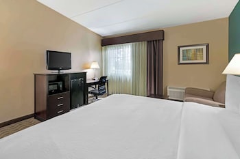 Standard Room, 1 King Bed, Non Smoking (with Sofabed)