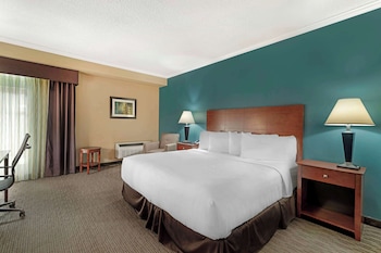 Standard Room, 1 King Bed, Accessible, Non Smoking