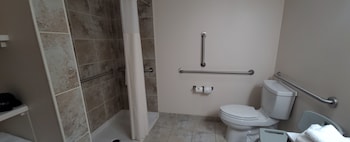 Standard Room, 1 King Bed, Accessible, Non Smoking