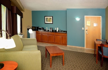 Suite, 1 King Bed, Non Smoking, Kitchenette (Separate Living Room)