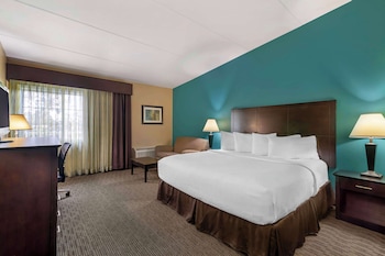 Standard Room, 1 King Bed, Non Smoking (with Sofabed)