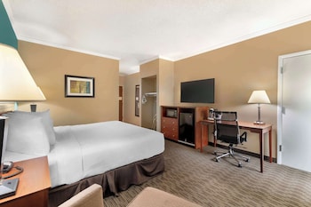 Standard Room, 1 King Bed, Accessible, Non Smoking