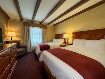 Suite, Multiple Beds