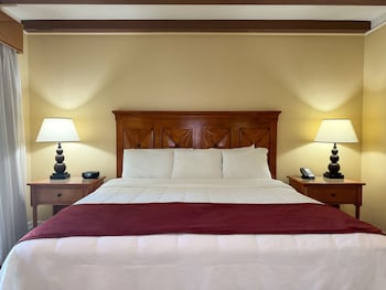Suite, 1 King Bed with Sofa bed, River View