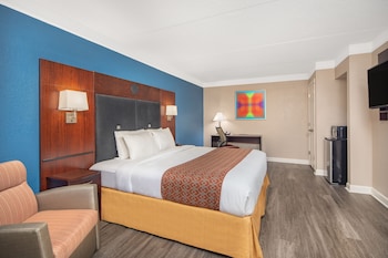 Room, 1 King Bed