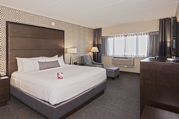 Standard Room, 1 King Bed with Sofa bed