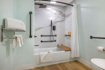 Suite, 1 King Bed with Sofa bed, Accessible, Non Smoking (Roll-In Shower)