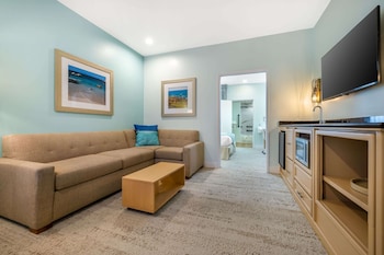 Suite, 1 King Bed with Sofa bed, Accessible, Non Smoking (Roll-In Shower)