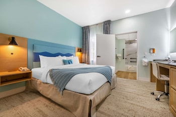 Suite, 1 King Bed with Sofa bed, Accessible, Non Smoking (Roll-In Shower)