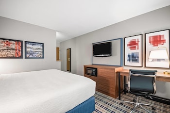 1 King Bed, Non-Smoking