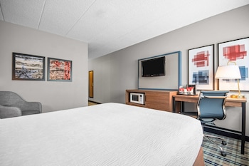 1 Queen Bed, Mobility Accessible Room, Roll-In Shower, Non-Smoking
