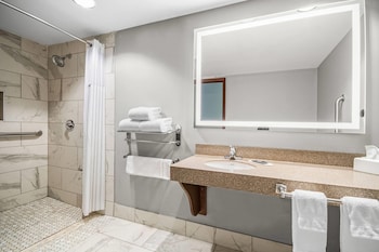 1 Queen Bed, Mobility Accessible Room, Roll-In Shower, Non-Smoking