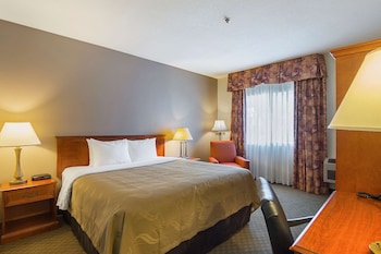 Standard Room, 1 King Bed, Non Smoking