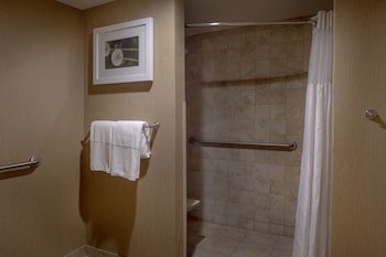 Room, 1 King Bed, Accessible, Non Smoking (Roll-in Shower)