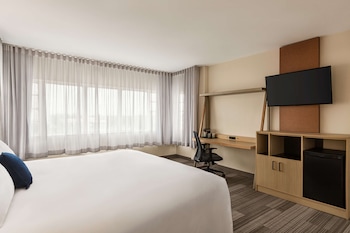 Room, 1 King Bed