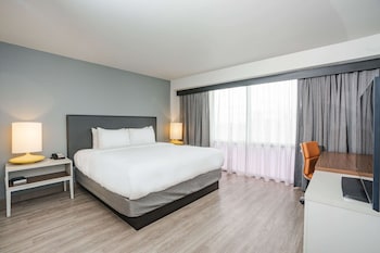 Suite, 1 Bedroom, Non Smoking