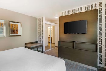 Suite, 1 King Bed, Refrigerator & Microwave, Corner (Pet Friendly;with Sofabed)