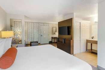 Suite, 1 King Bed, Accessible, Refrigerator & Microwave (with Sofabed)