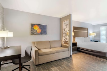 Suite, 1 King Bed, Refrigerator & Microwave, Corner (Pet Friendly;with Sofabed)