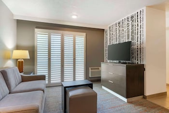Suite, 1 King Bed, Non Smoking, Kitchenette (with Sofabed)