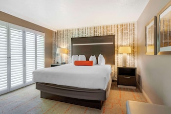 Suite, 1 King Bed, Non Smoking, Refrigerator & Microwave (Pet Friendly;with Sofabed)