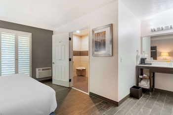 Suite, 1 King Bed, Refrigerator & Microwave, Corner (Pet Friendly;with Sofabed)