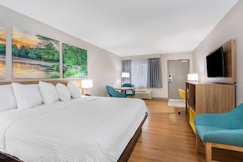 Room, 1 King Bed, Non Smoking