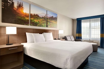 Room, 1 King Bed, Non Smoking