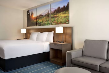 Room, 1 King Bed, Non Smoking
