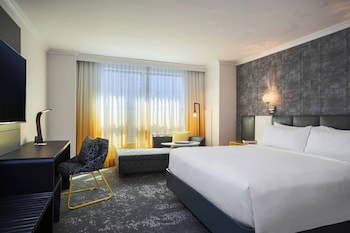 Room, 1 King Bed